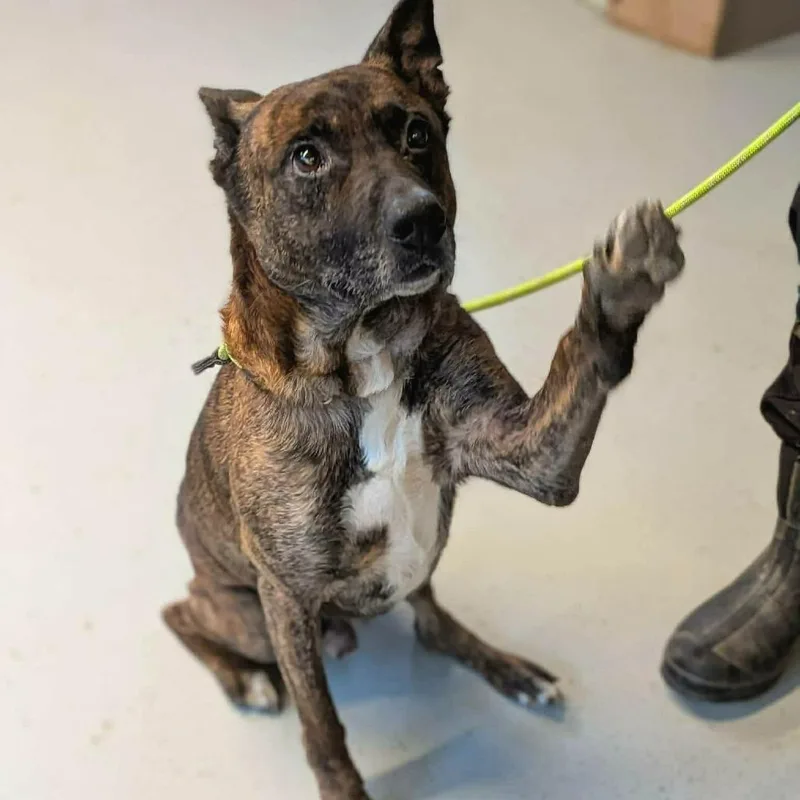 Tiny Tim thumbnail 5