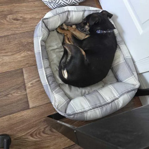 Euphoria thumbnail 2