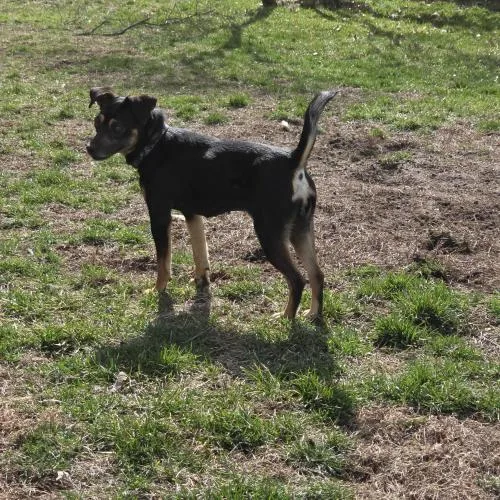 Euphoria thumbnail 3