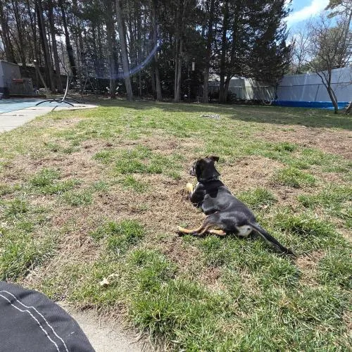 Euphoria thumbnail 4