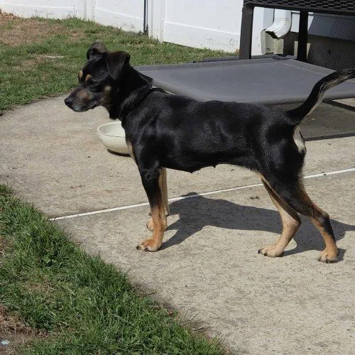 Euphoria thumbnail 5