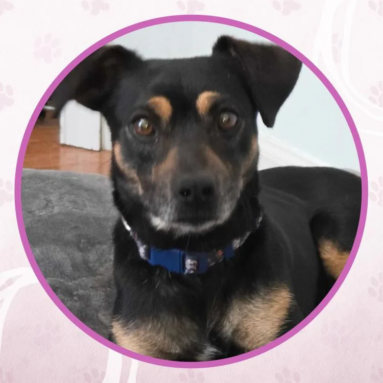 Euphoria thumbnail 6