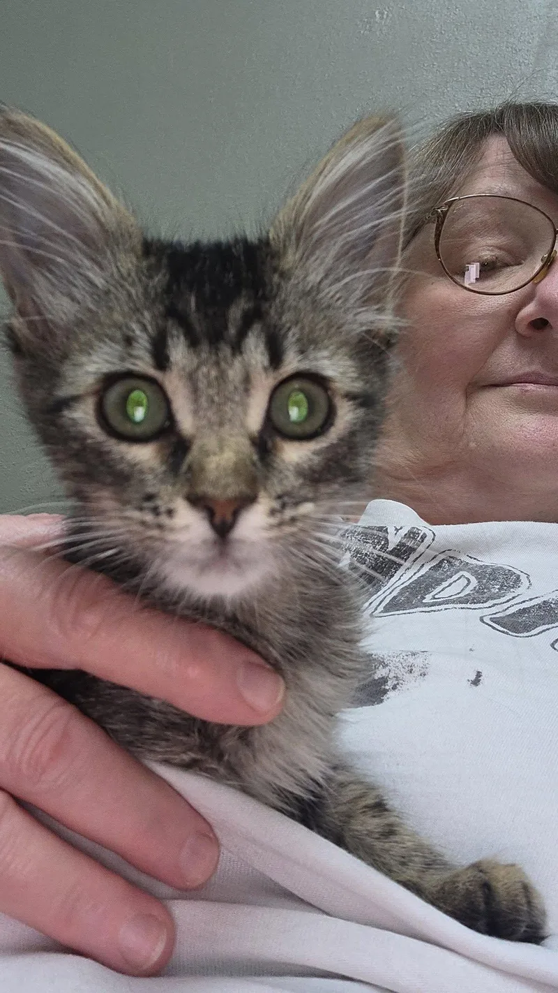 Polly thumbnail 3