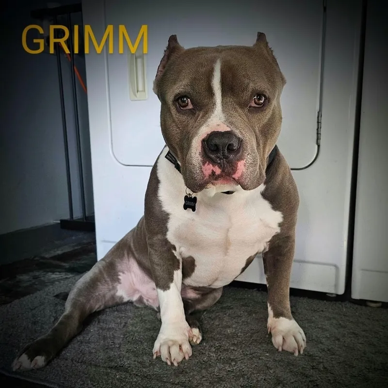 Grimm thumbnail 3