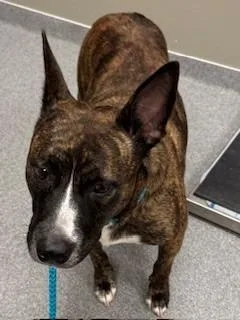 Clove Yrly thumbnail 2