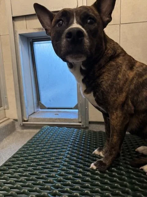 Clove Yrly thumbnail 3