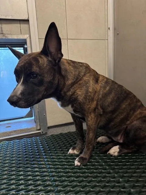 Clove Yrly thumbnail 5