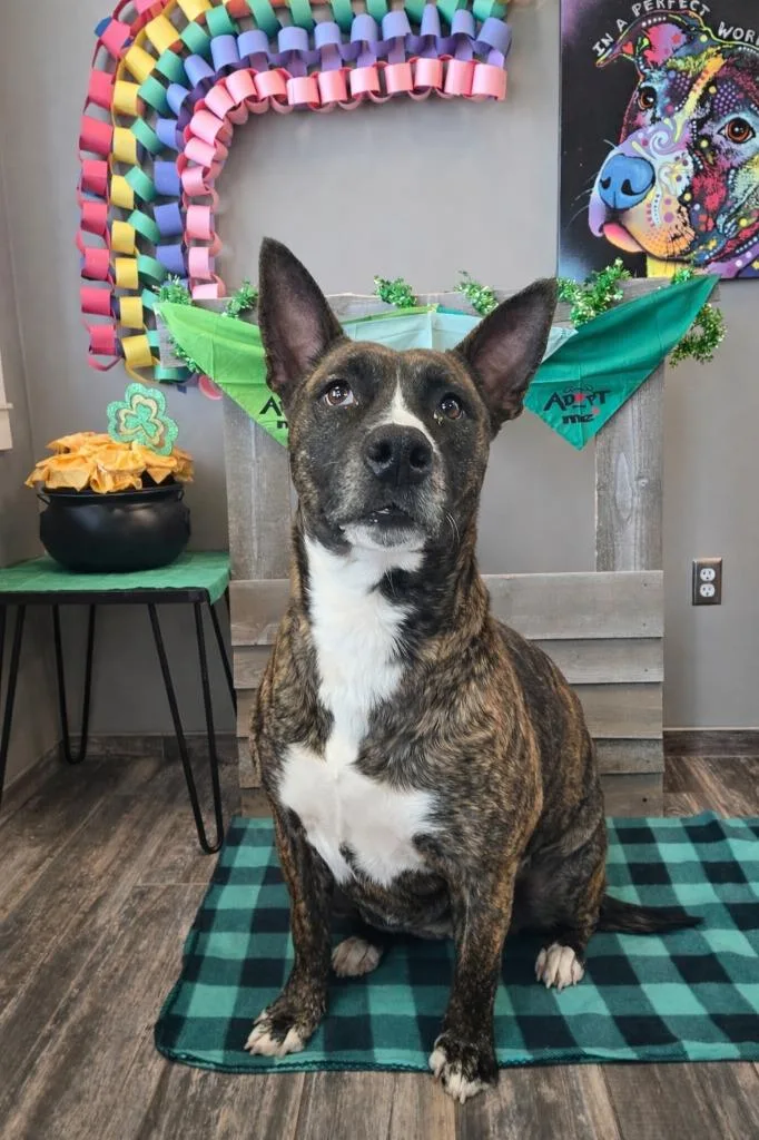 Clove Yrly thumbnail 6