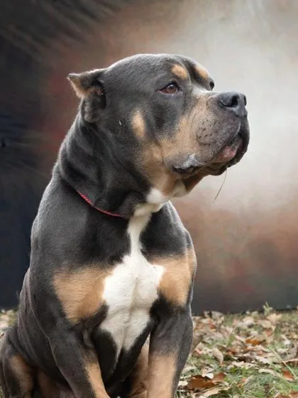 Diesel thumbnail 2