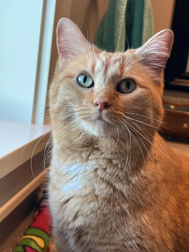 Morra Morra thumbnail 2