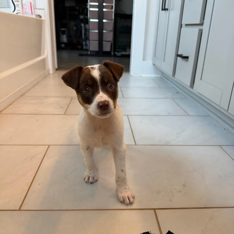 Maggie thumbnail 2