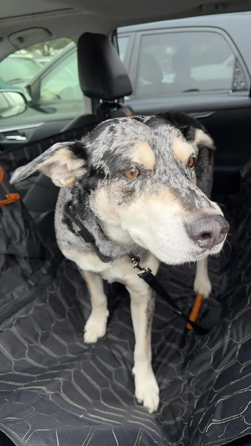 Bugs  Courtesy Listing thumbnail 4