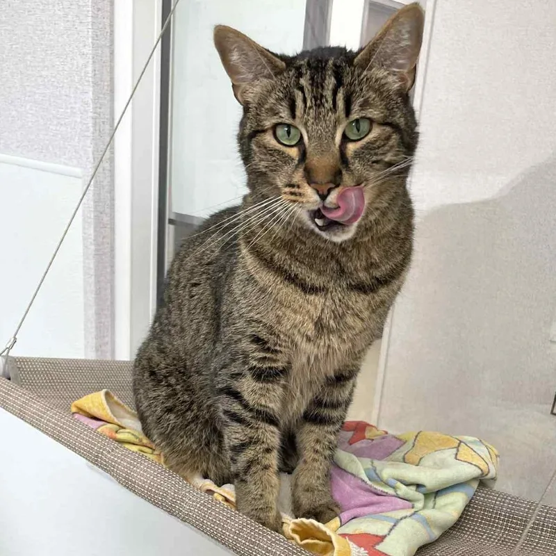 Foosball thumbnail 2