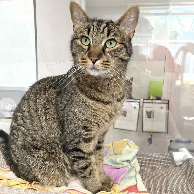 Foosball thumbnail 3