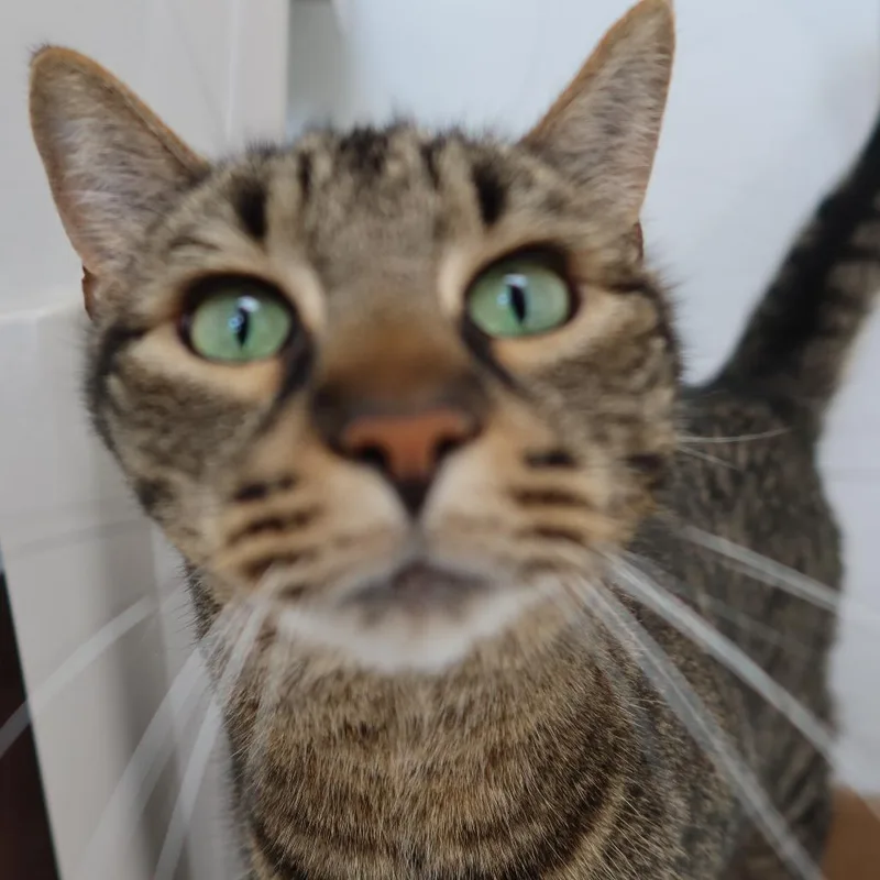 Foosball thumbnail 5