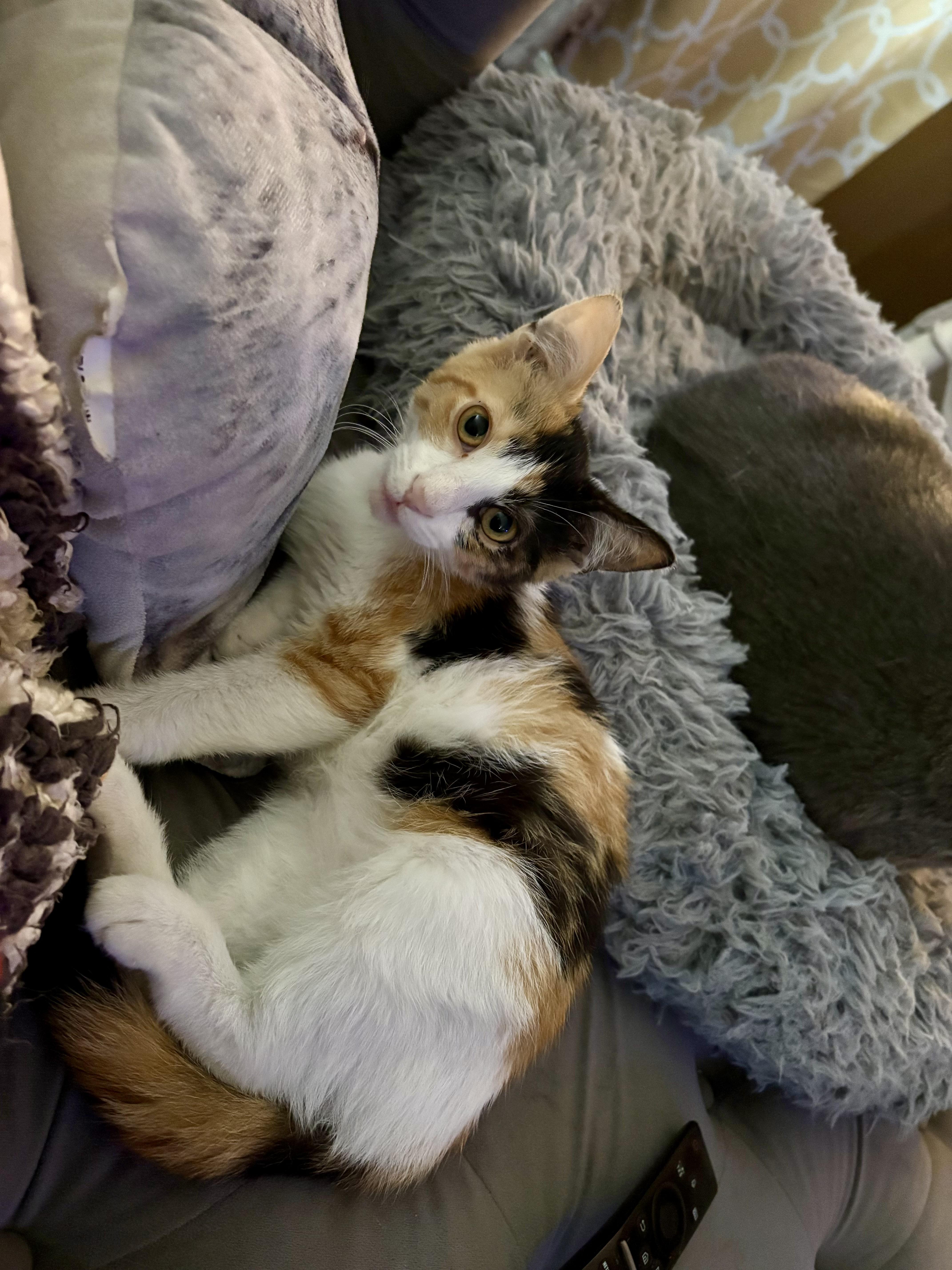 Lilly & Chloe thumbnail 2