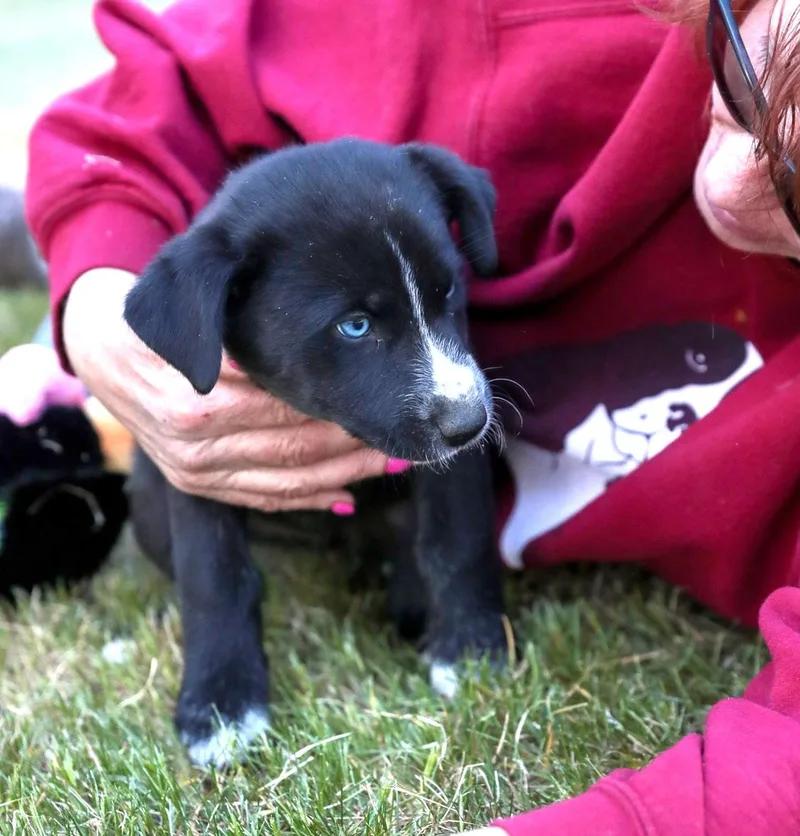 Elsa thumbnail 4