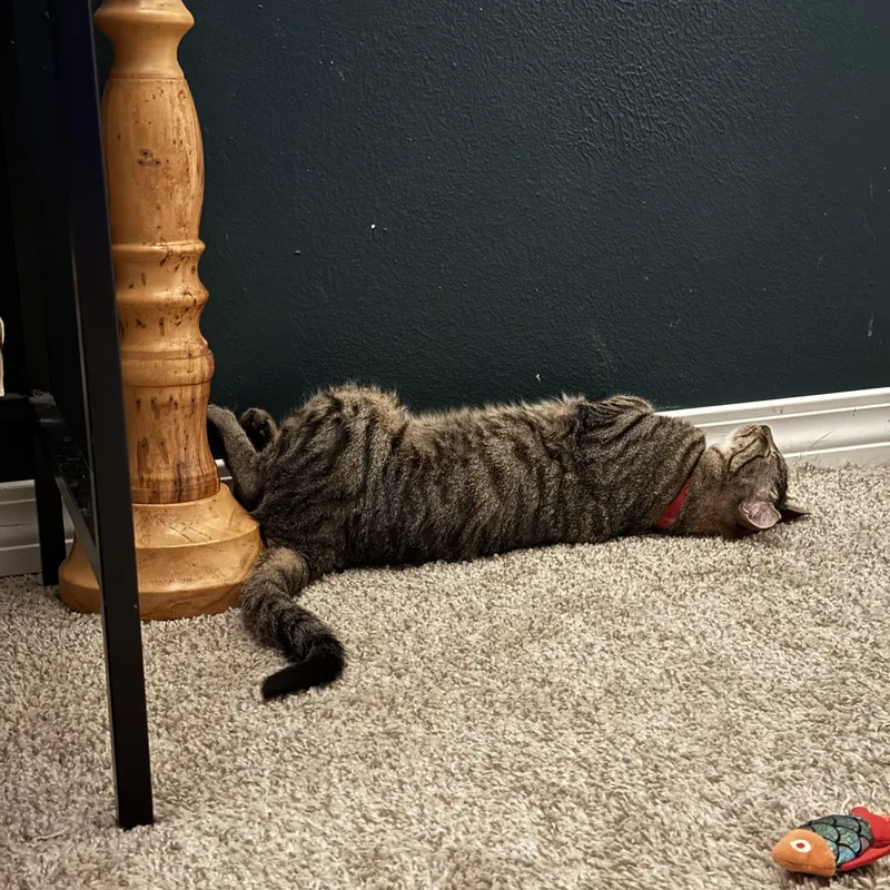 Jalapeno