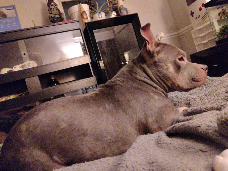 Lucy thumbnail 4