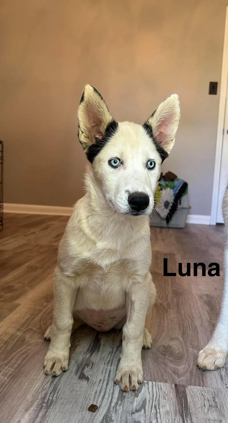 Luna