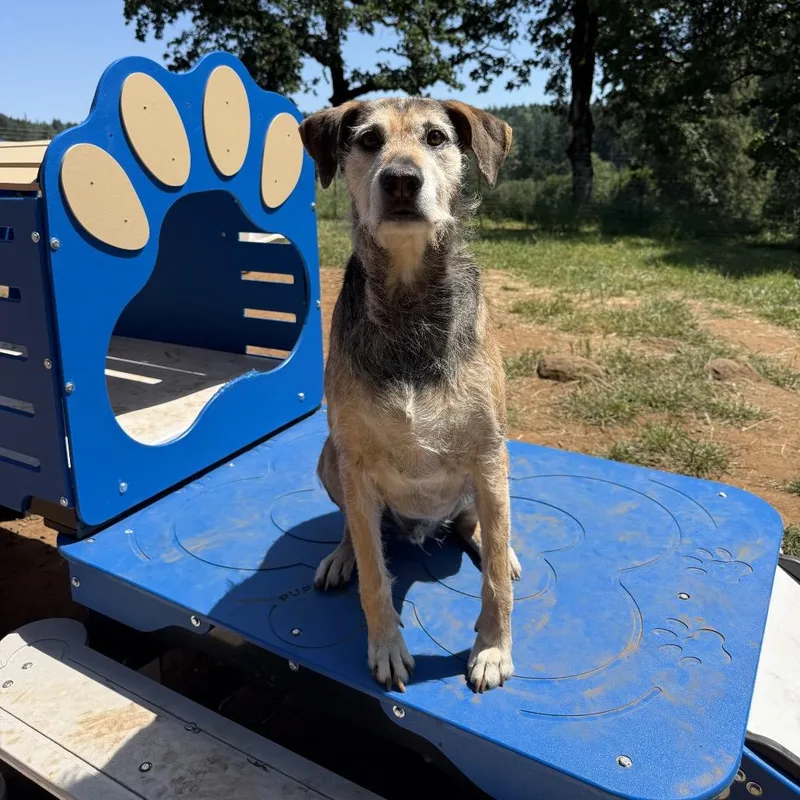 Gus