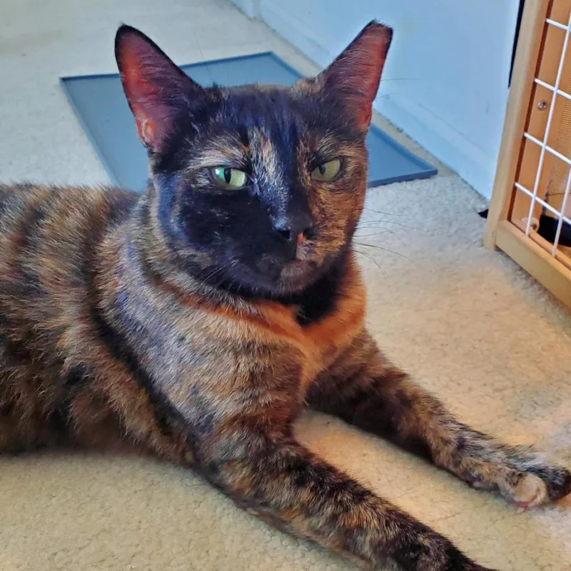 Samantha thumbnail 3