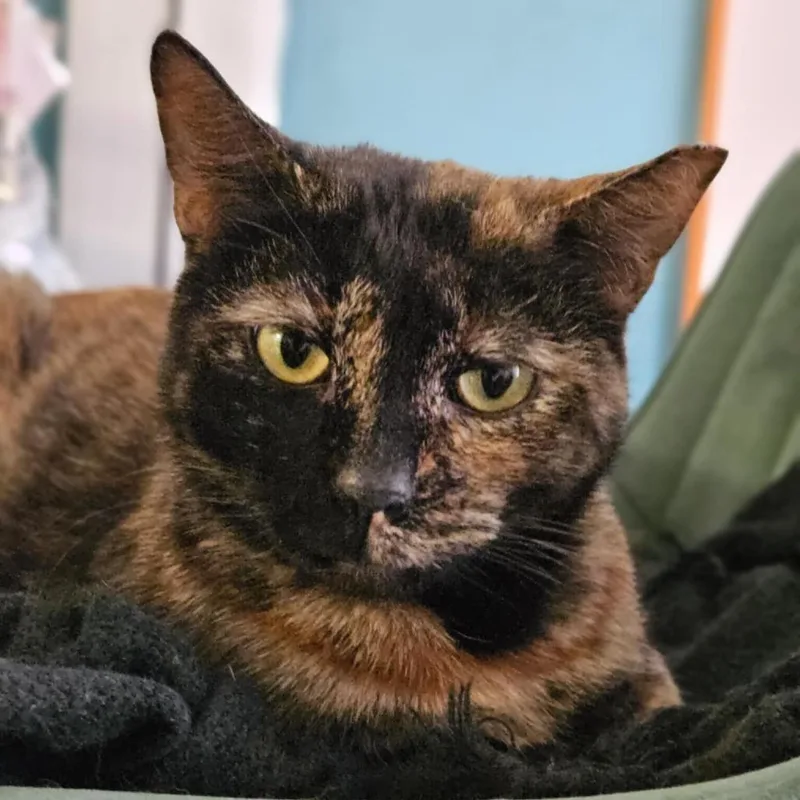 Samantha thumbnail 4