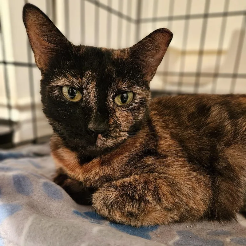 Samantha thumbnail 6