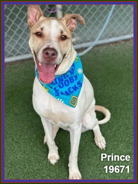 Prince