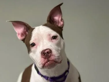 Lexi thumbnail 2