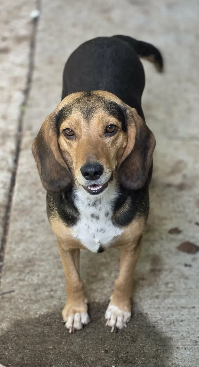 Edna