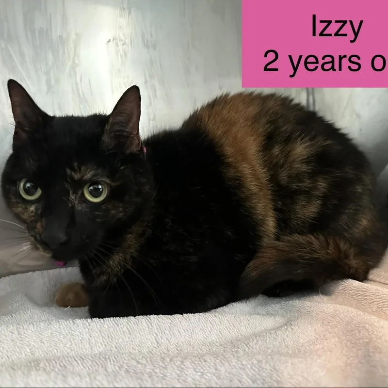 Izzy