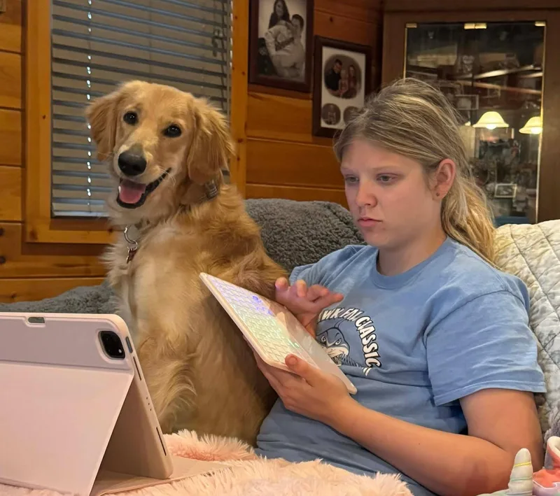 Ross Matthews thumbnail 3