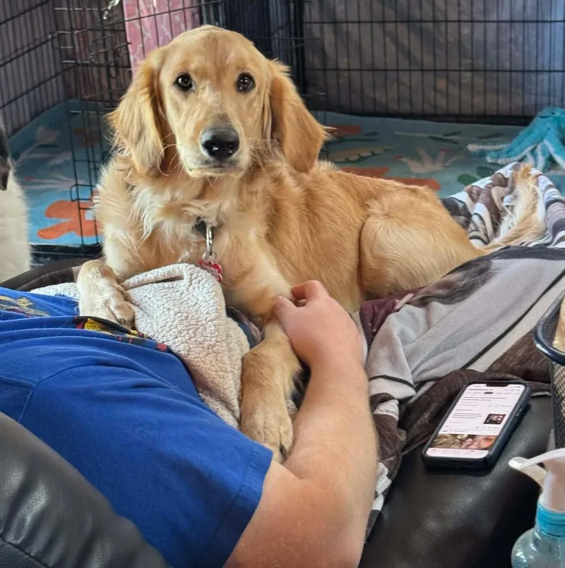 Ross Matthews thumbnail 5