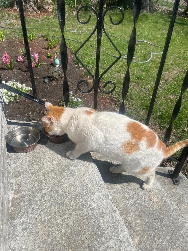 Titus  Courtesy Listing thumbnail 2