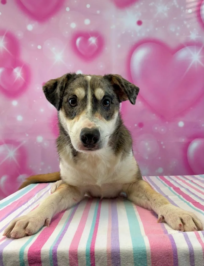 Mary Puppins thumbnail 2