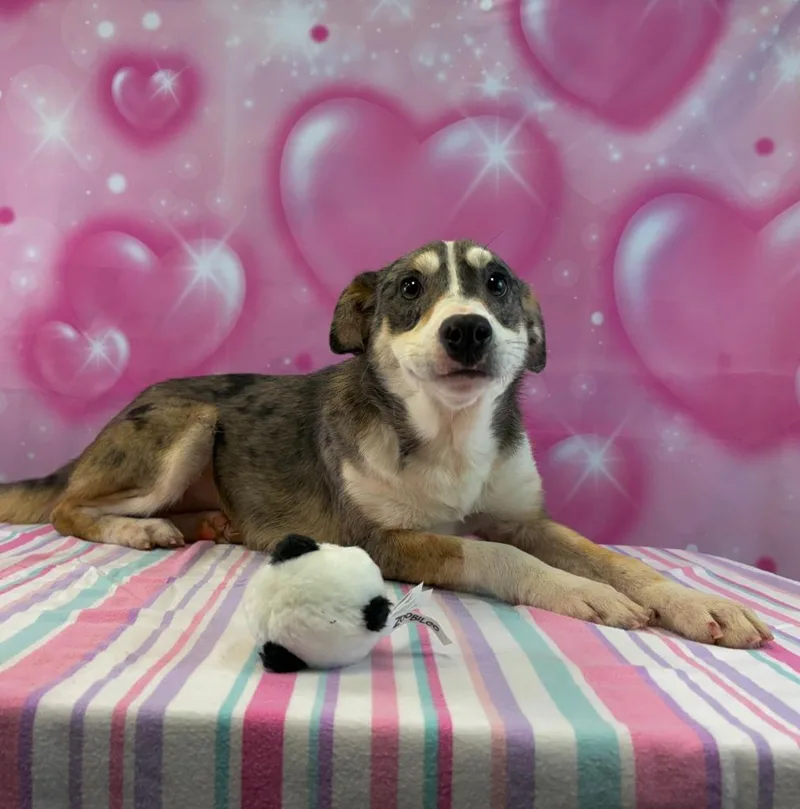 Mary Puppins thumbnail 3