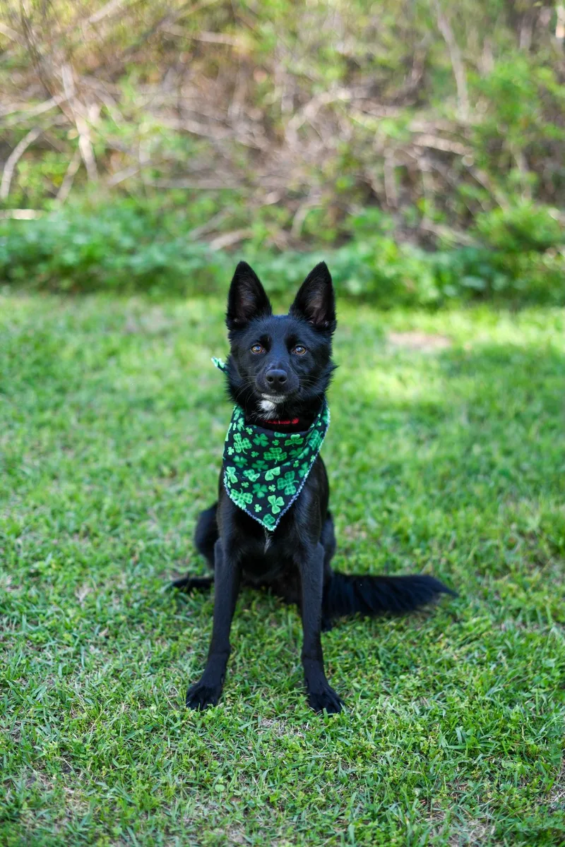 Baby Boo thumbnail 2