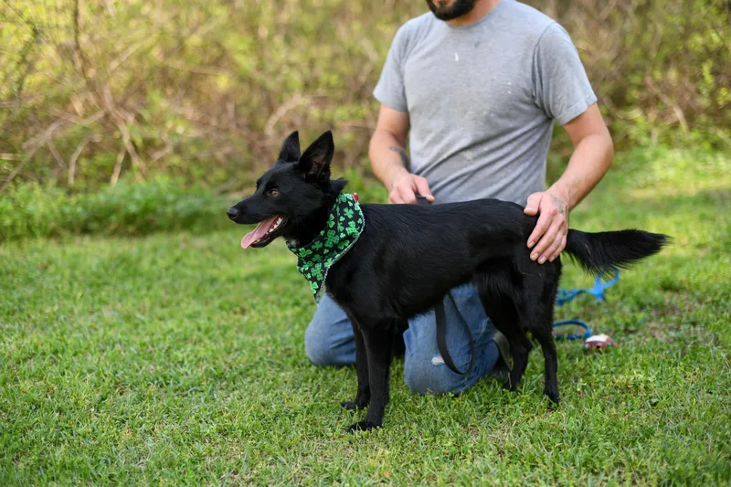 Baby Boo thumbnail 3