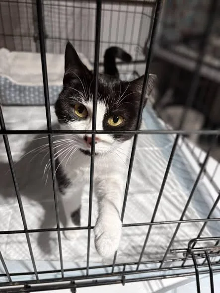 Razzle & Dazzle thumbnail 5