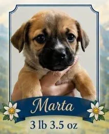 Marta