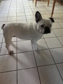 Margot thumbnail 2