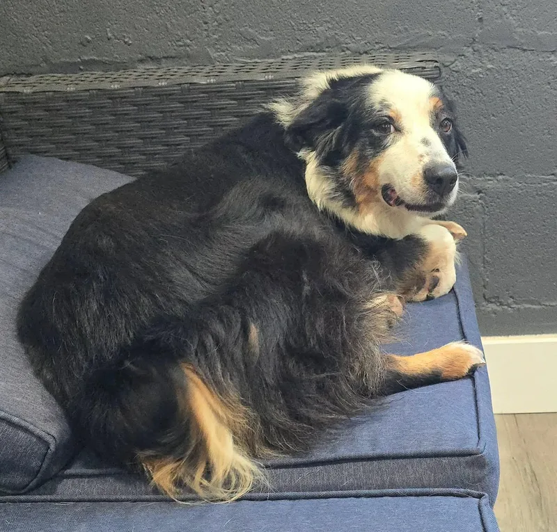 Matilda