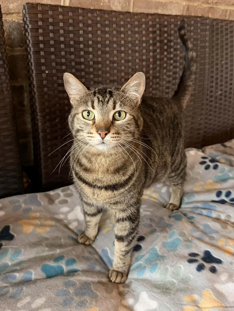 Caroline thumbnail 2