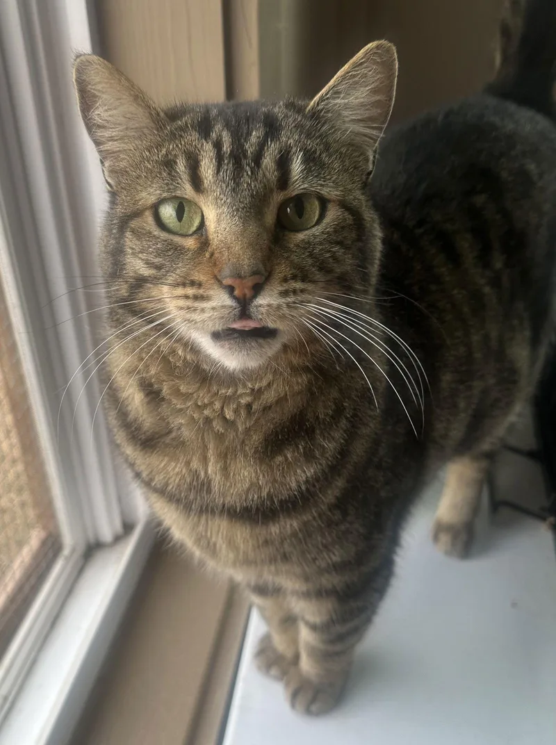 Caroline thumbnail 3