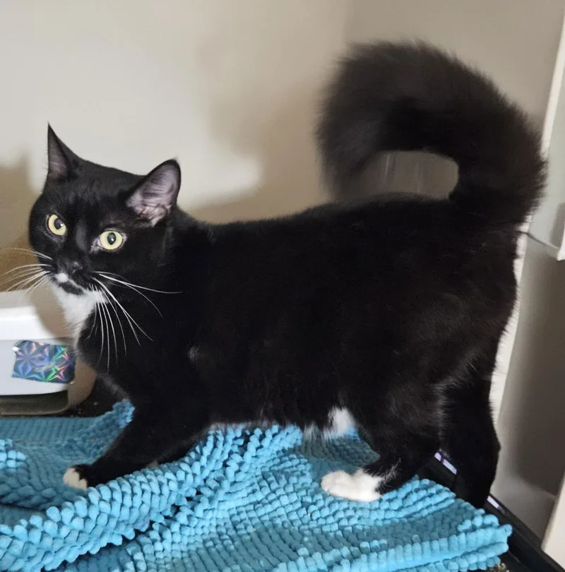 Rosie Sc thumbnail 2