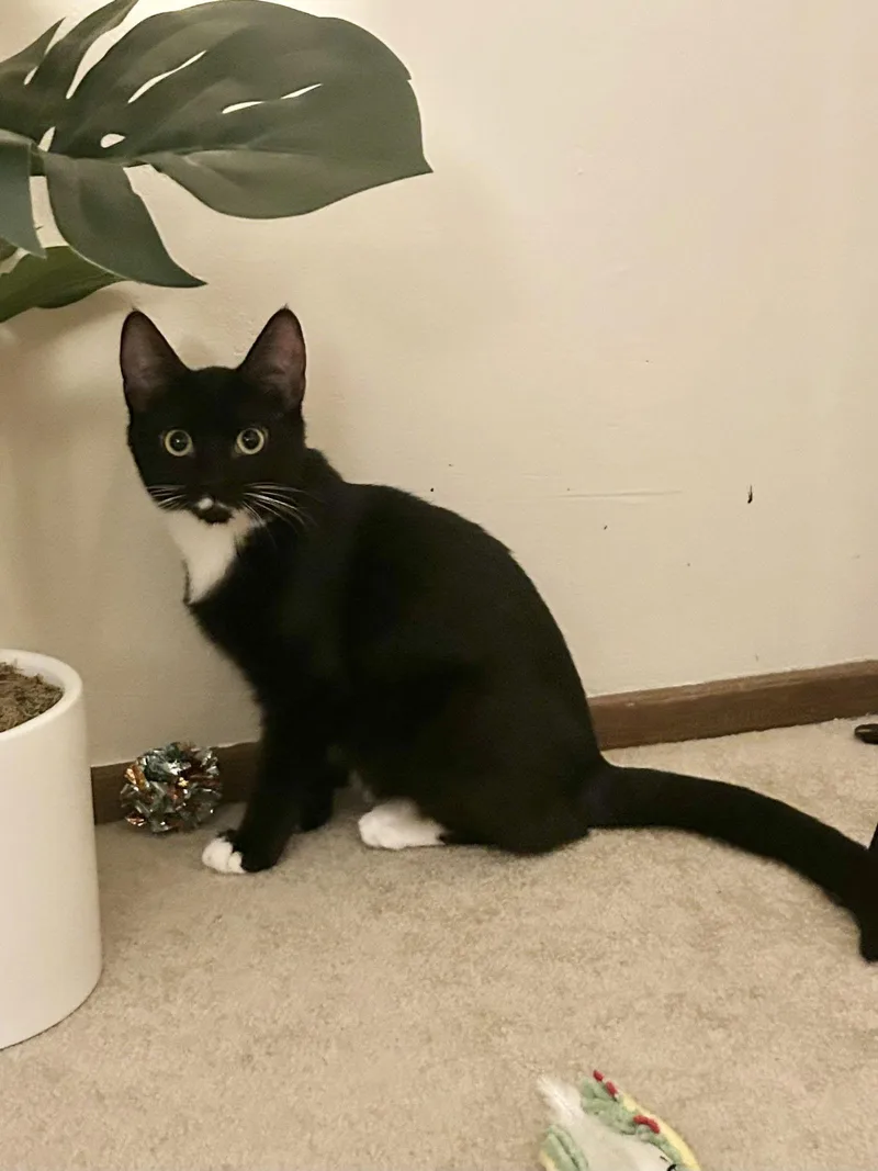 Rosie Sc thumbnail 3