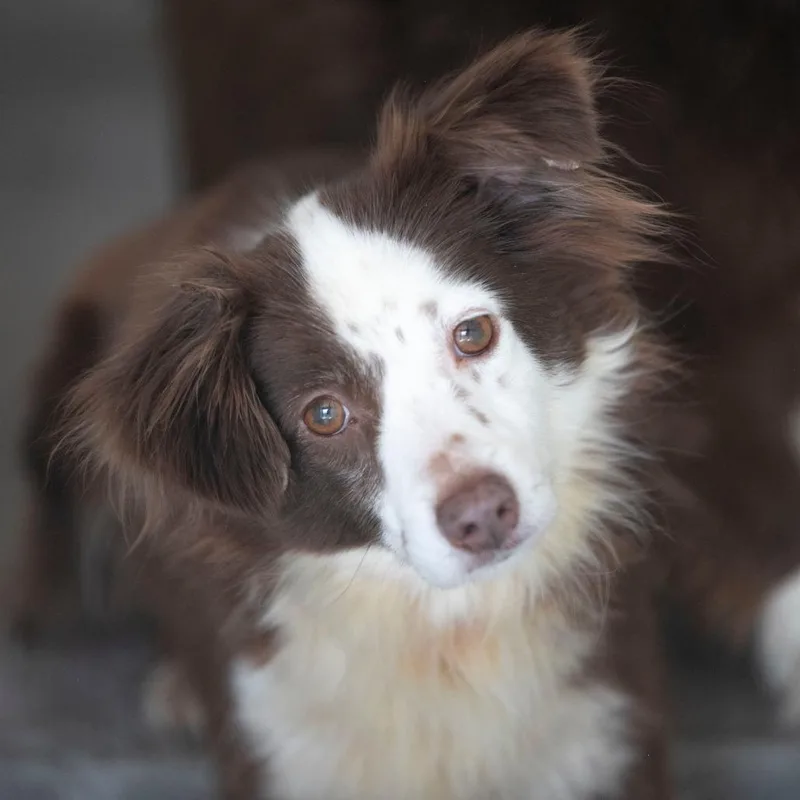 Little Girl thumbnail 6