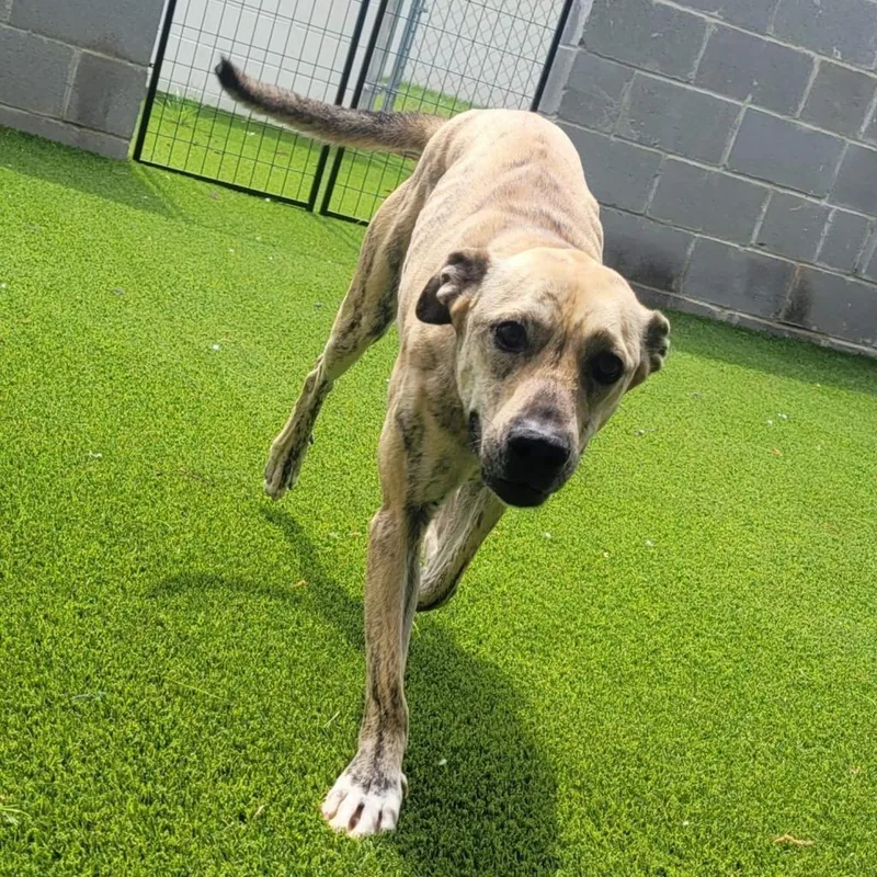 Jimmy Buffet thumbnail 3