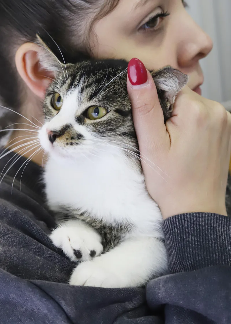 Marmalade is a mushy thumbnail 6